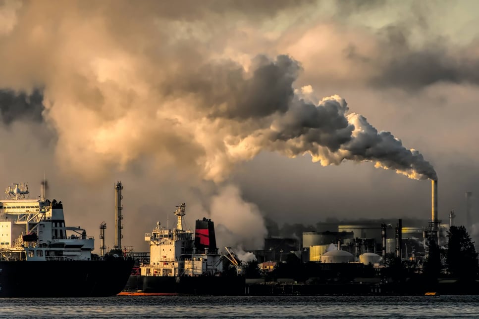 Carbon emissions and sustainability reporting in the United Kingdom
